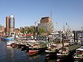 Blick über den Niederhafen auf den Sandtorhöft, 2008