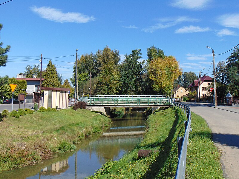 File:Hecznarowice, rzeka Pisarzówka.jpg