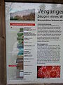 Heeseberg SteinBr 2014-06-01 12.05.57.jpg