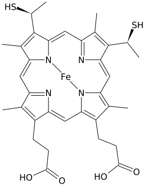 Heme C chemical compound