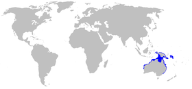 Range of the epaulette shark