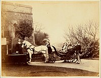 Her Majesty the Queen, The Prince of Wales, Princess Royal and Princess Alice, 1857
