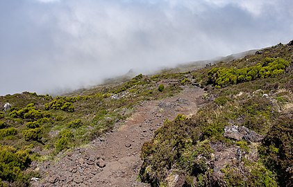 Hike up Mountain Pico (Portugal's highest peak), Pico Island, Azores, Portugal