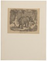 Homo sapiens - Banyaistam, India - 1700-1880 - Print - Iconographia Zoologica - Special Collections University of Amsterdam - UBA01 IZ19400068.tif