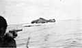 Hunter firing gun at walrus on an icefloe, location unknown, ca 1899 (WARNER 466).jpeg