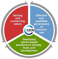 IUCN programme 2013-2016.jpg