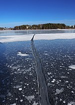 File:Ice cups by Eichetti.jpg - Wikimedia Commons