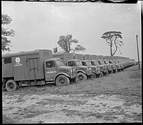 משאיות "בדפורד OY" לפני הפלישה לנורמנדי