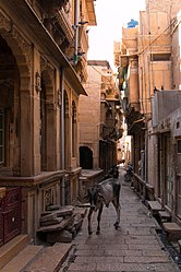 Ruelle du Bazar.