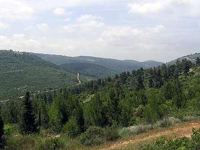 איך מגיעים באמצעות תחבורה ציבורית  להרי יהודה? - מידע על המקום