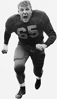 <span class="mw-page-title-main">Joe Schmidt (American football)</span> American football player and coach (born 1932)