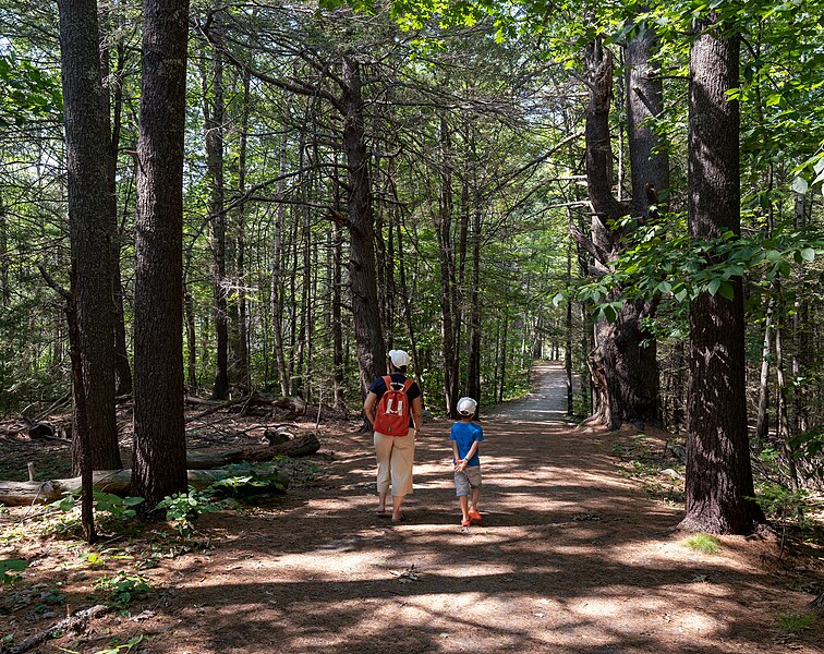 File:Jules and Gabriel at the Thorne Head Preserve Trail, Bath, Maine, US (PPL1-Corrected) julesvernex2.jpg