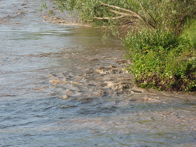 File:Küküllő, Székelykeresztúr - 2013.06.20 (24).JPG