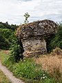 * Nomination Kachelstein near Wohlmuthshüll in the Franconian Switzerland --Ermell 06:09, 4 September 2020 (UTC) * Promotion Good quality --Michielverbeek 06:47, 4 September 2020 (UTC)