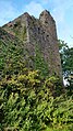 Kilcrea castle southeast tower.jpg