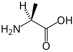 صورة:L-alanine-skeletal.svg