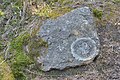 * Nomination map lichen (Rhizocarpon geographicum) near Porphyr rocks) on the Resciesa pasture in Gröden - South Tyrol. --Moroder 16:18, 12 October 2016 (UTC) * Decline The lichen is not sharp enough. --Jkadavoor 03:59, 13 October 2016 (UTC)