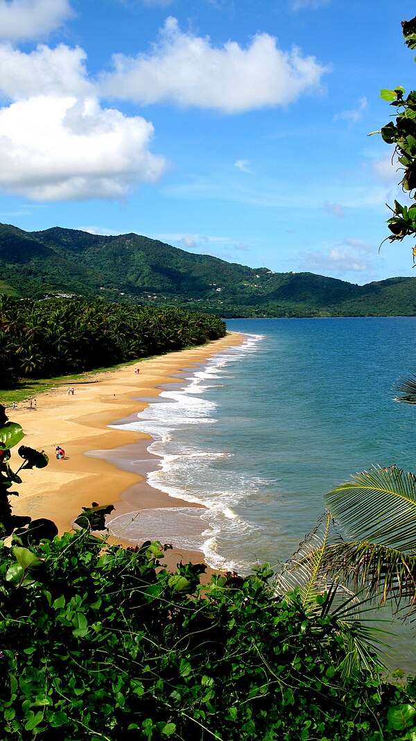 Landscape and shore of Maunabo