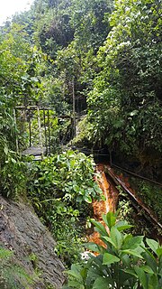 Las Pavas Colombian emerald mining area