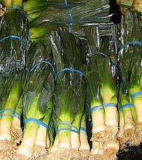 Leeks for sale.