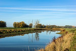 Old arm of the Elbe in the Werder Kietz nature reserve (October 2015)