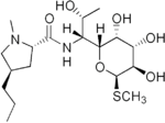 Bawdlun am Lincomycin