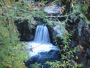 The Little Qualicum Falls