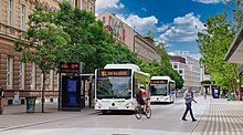 Busse in der Slovenska cesta