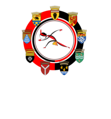 Logo of tournament of the 9 provinces