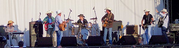 Los Pacaminos at the 2006 Wickham Festival.