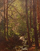 Cascade du Gehard (Vosges)