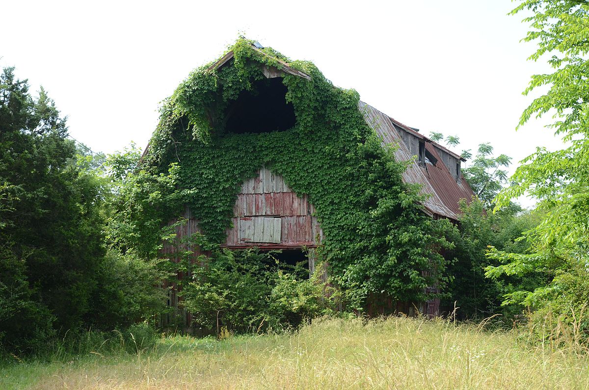 Louis N. Hilger Homestead, Livestock Barn - Wikipedia