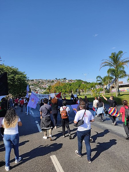 File:MANIFESTAÇÃO EM FLORIANÓPOLIS - FORA BOLSONARO E MOURÃO 29.05.2021 07.jpg