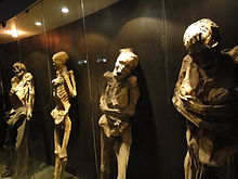 Momias de Guanajuato Wikipedia, la enciclopedia libre