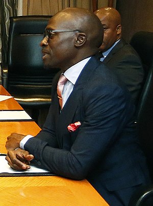 Malusi Gigaba.jpg