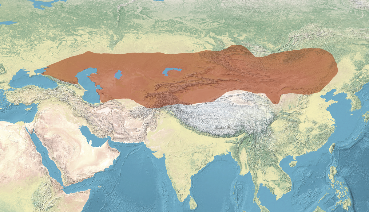 Тюркский каганат — Википедия