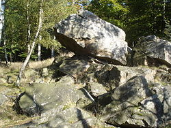 Rock outcroppings and native vegetation of Wüstegarten.