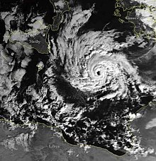 Image of the January 1995 system Mediterranean Hurricane 16 Jan 1995.jpg
