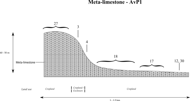 Metamorphic limestone catena in Abergele Metamorphic limestone catena in Abergele.tif