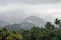 * Nomination Misty morning view of the Western Ghats, Courtallam, TN, India --Tagooty 00:40, 10 January 2022 (UTC) * Promotion  Support Good quality -- Johann Jaritz 03:49, 10 January 2022 (UTC)