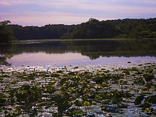 Morrison-Rockwood State Park state park in Illinois, United States