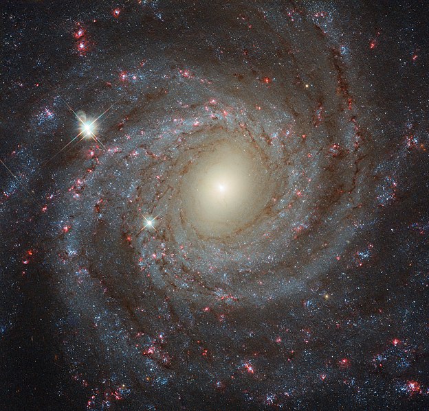 File:Multi-filter image of NGC 3344.jpg