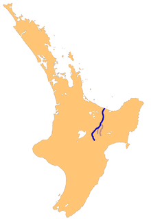 Rangitaiki River