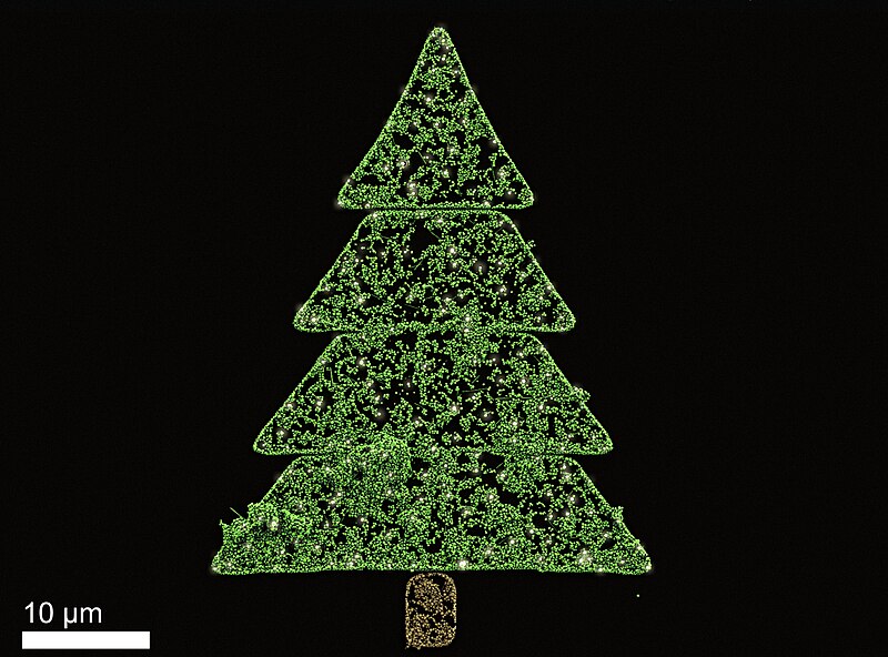 File:Nano-particle Christmas Tree.jpg