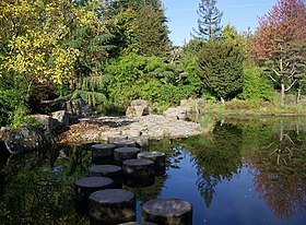 Aperçu du jardin japonais.