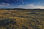 Nederlands: Nationaal Park Zuid-Kennemerland English: National park Zuid-Kennemerland