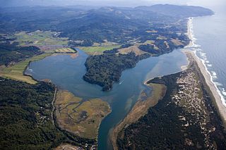 <span class="mw-page-title-main">Tillamook County, Oregon</span> County in Oregon, United States