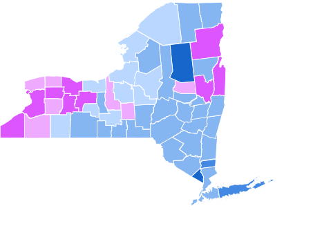 New York Presidential Election Results 1852.svg