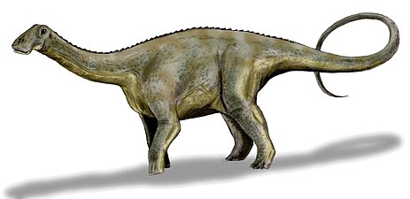 ניגרזאורוס - זאורופוד קטן באורך 9 מטר ומשקל של 4 טונות.