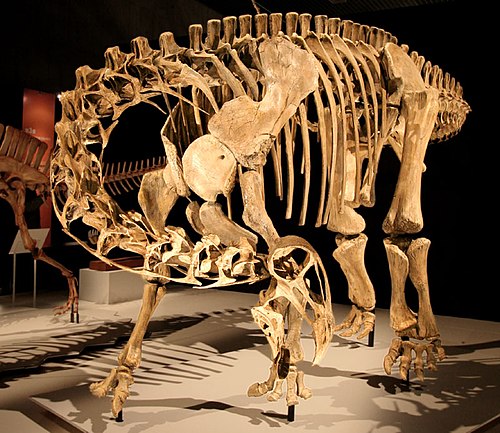 Nigersaurus